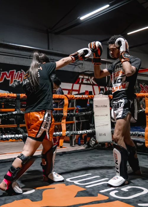 entrainement boxe meaux